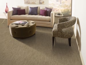 eco-carpeting