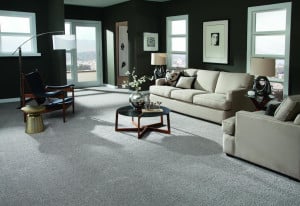 Pinellas County Flooring