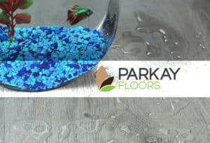 Manufacturer Spotlight: Parkay Flooring - XPS Waterproof