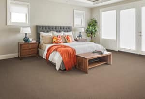 Carpet Trends 2017